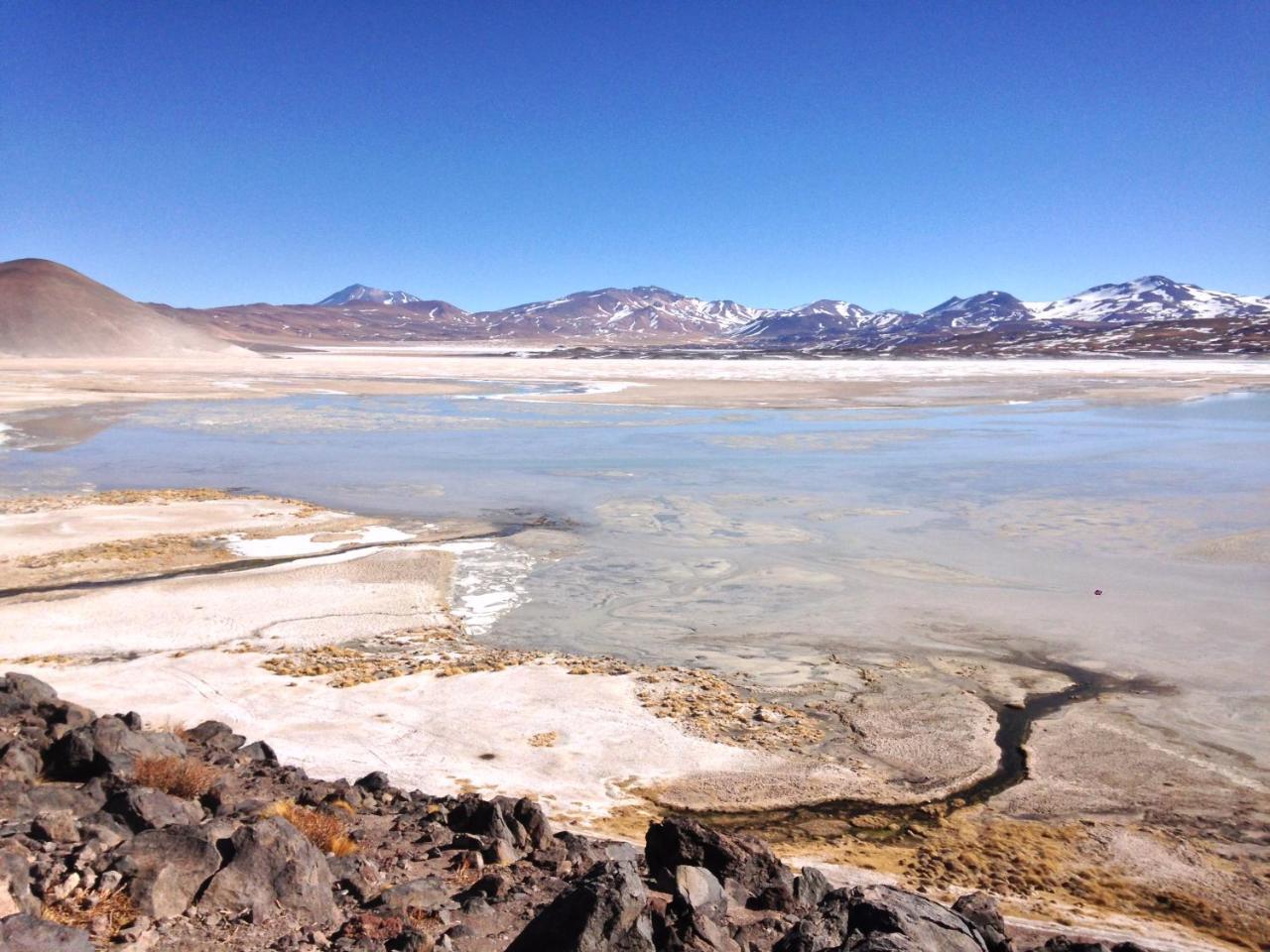 Cota6000 Dpto B Lägenhet San Pedro de Atacama Exteriör bild